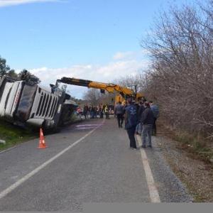 Büyükbaş hayvan yüklü TIR devrildi, şoför yaralandı