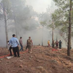Hatayda orman yangınında 5 hektarlık alan zarar gördü
