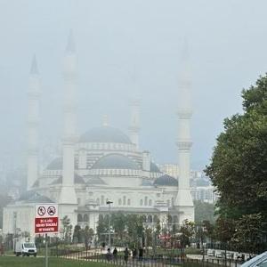 Zonguldakta sis etkili oldu