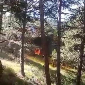 Konyada orman yangını