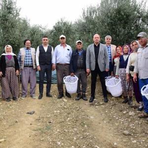Akhisarda zeytin hasadı yapan üreticilere koruyu ekipman desteği
