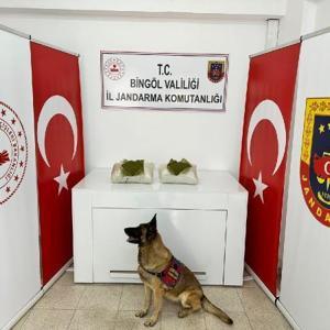Bingöl’de 12,5 kilogram uyuşturucu ele geçirildi