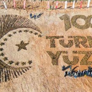 Düzce’de Türkiye Yüzyılı logolu hatıra ormanı