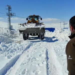 Karsta kar kaplanlarının 2 bin 300 rakımda zorlu mücadelesi