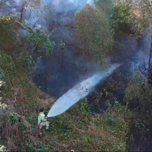 Arhavi’de örtü yangınında 4 hektarlık alanda zarar