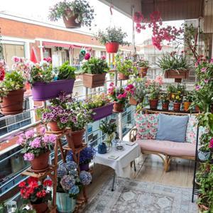 Karşıyakada En Güzel Balkon Bahçe Yarışmasına başvurular başlıyor
