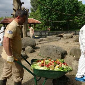 Bulgaristandan  Bursaya gelen öğrenciler, hayvanat bhçesinde incelemelerde bulundu