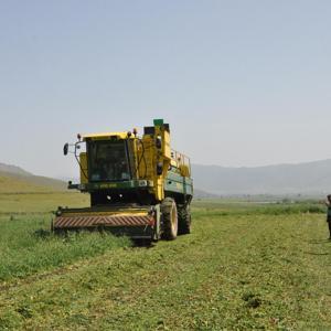 Gaziantep’te bezelye hasadı sürüyor