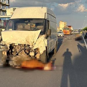 Mardin’de minibüsün çarptığı 5 inek öldü