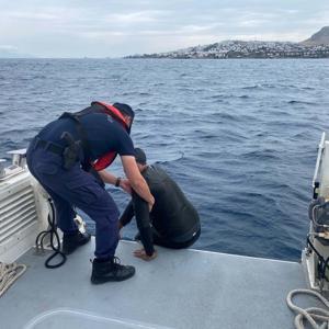 Bodrumda yüzerek Yunan adasına geçmeye çalışan kaçak göçmen yakalandı