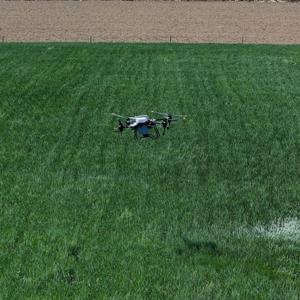 Aydınlı çiftçiler, dron ile gübre uygulaması yapılmasından memnun