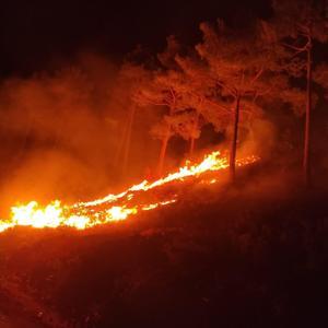 Mersin’de orman yangınında 10 dönüm alan zarar gördü