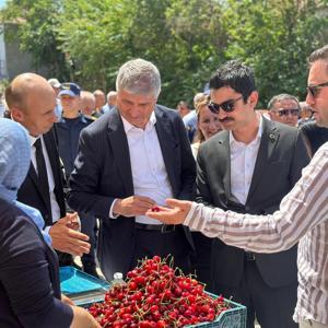 Edirne’de 13 ülkeye ihraç edilen ‘Çeribaşı kirazı’nın hasat şenliği yapıldı