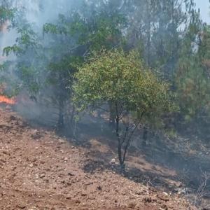 Kilis’te orman yangını söndürüldü