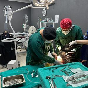 Kırklareli’de dolu yağışında yaralanan yaralı leylekler tedaviye alındı