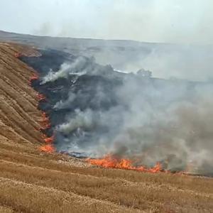 Diyarbakır’da anız yangınında 3 bin dönümlük alan zarar gördü