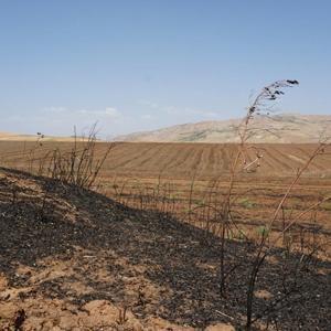 Çiftçilere ‘anız yakmayın’ uyarısı: 2 bin lira masraftan kaçarken 200 bin lira zarara yol açıyorlar