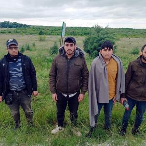 Edirnede 4 kaçak göçmen yakalandı