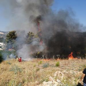 Antalyada orman yangını kontrol altına alındı