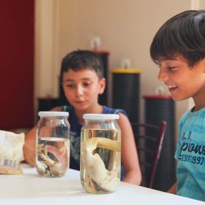 Aydın Büyükşehir Belediyesi Bilim Deney Evi çocukları eğlendirerek eğitiyor