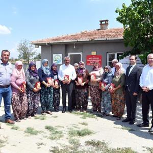 Edirnede coğrafi işaret tescilli Meriç Yer Fıstığı, Türkiyeye açılmaya hazırlanıyor