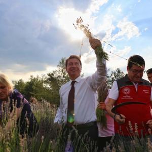 Muğlada Lavanta Hasat Şenliği