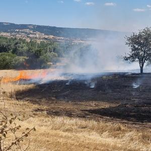 Barakada çıkan yangın, tarlaya sıçradı