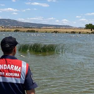 Edirne’de jandarmadan Gala Gölü Milli Parkı’nda denetim