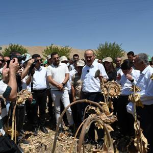 Batmanda yağlık ayçiçeğinin hasadı yapıldı