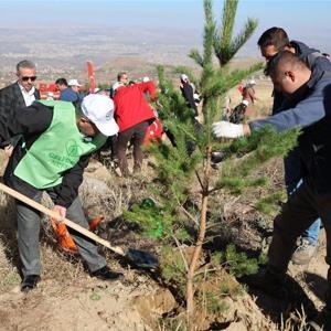 Hacılarda son 10 yılda 2 milyon ağaç dikildi