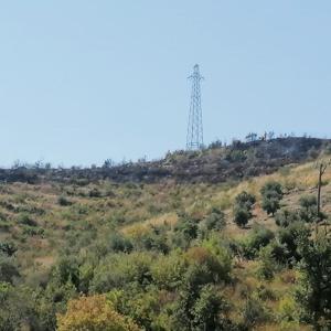 Gazipaşada çalılık yangını