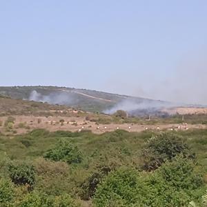 Tuzla Piyade Okulunda çalılık alanda çıkan yangın söndürüldü