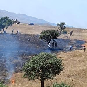 Bingöl’de anız yangını, 5 saatte söndürüldü