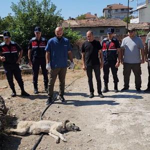 Amasya’da köpeğini kamyonete bağlayıp sürükleyen şüpheliye 1500 lira ceza