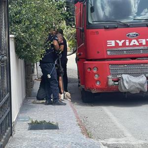 Hatay’da rögara sıkışan yavru köpekler kurtarıldı