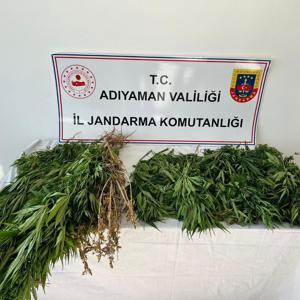 Adıyamanda uyuşturucu operasyonuna 3 gözaltı