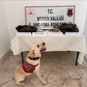 Mersin’de uyuşturucu operasyonu: 3 gözaltı