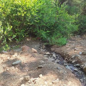 Fethiyede ormanda terk edilmiş bebek bulundu