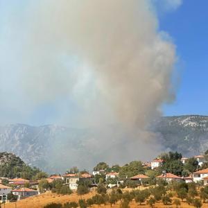 Muğlada orman yangını