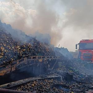 Mardin’de armut yüklü TIR, alev alarak yandı