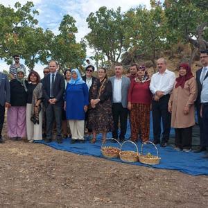 Çanakkale’de Antep Fıstığı Hasat Şenliği gerçekleştirildi