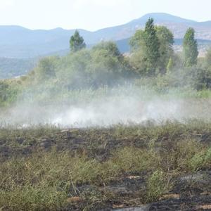 Kütahya’da arazi yangını