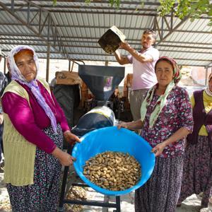 Büyükşehir’in badem soyma makinesi desteğiyle hasat zamanı