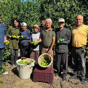 Limonun ihracat yolculuğu başladı