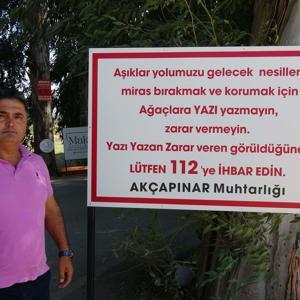 Aşıklar Yolundaki okaliptüs ağaçlarına tabelalı önlem