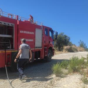 Hatay’da 5 hektarlık zeytinlik alanda yangın