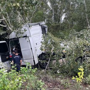 TIR, ağaca çarptı; sıkışan şoförü itfaiyeye kurtardı