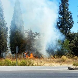 Yatağanda çıkan orman yangını, büyümeden söndürüldü