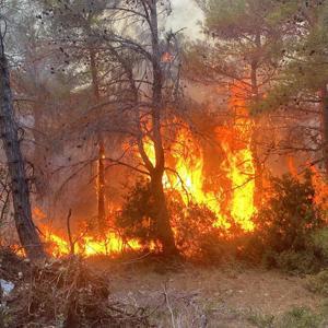 Çanakkale’de orman yangını