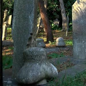 İstanbul - Tarihi mezarlık harabeye döndü